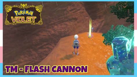 pokemon rejuvenation flash|pokemon rejuvenation tm flash.